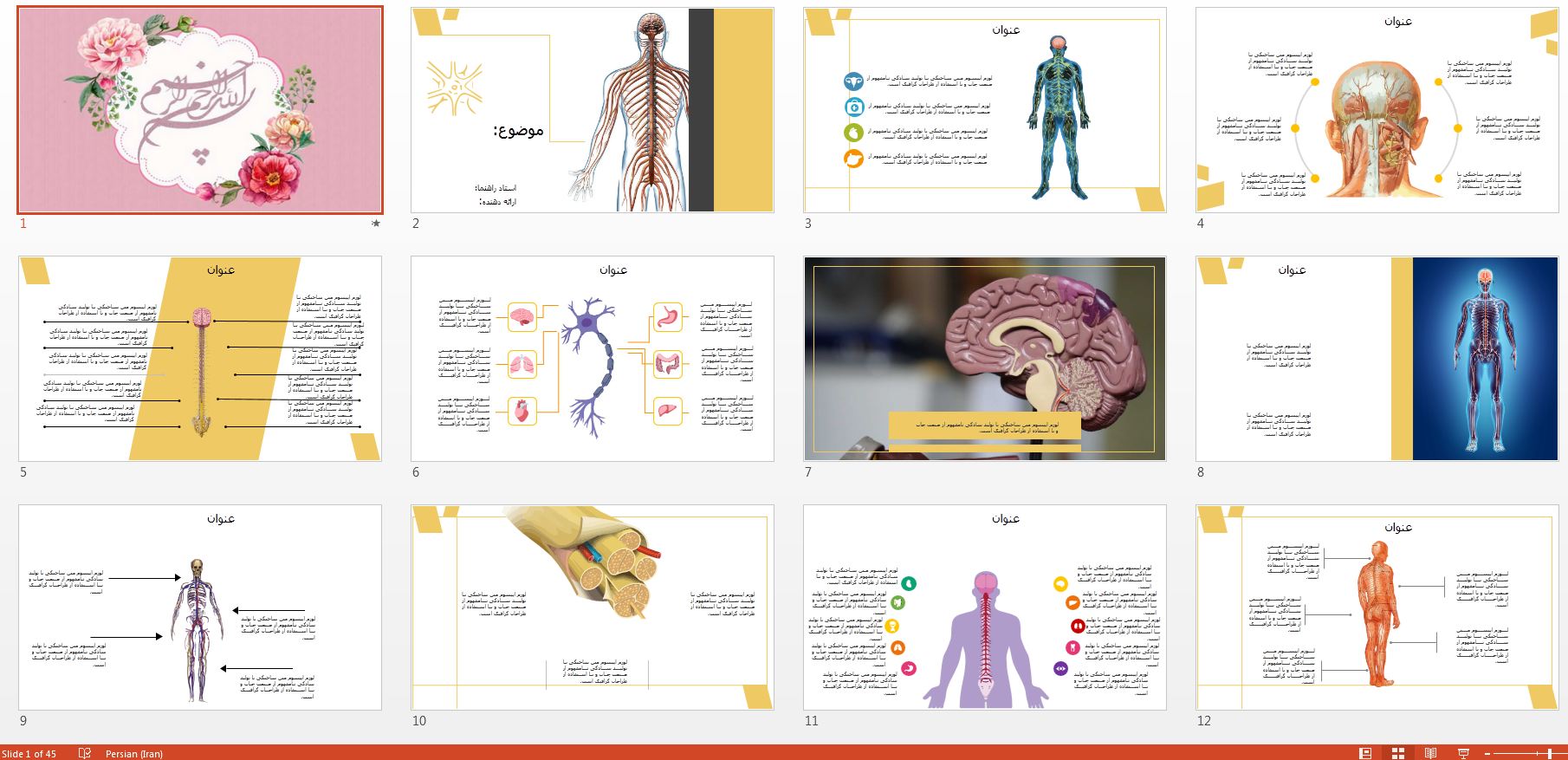 جدیدترین و زیباترین قالب پاورپوینت حرفه ای سیستم عصبی انسان